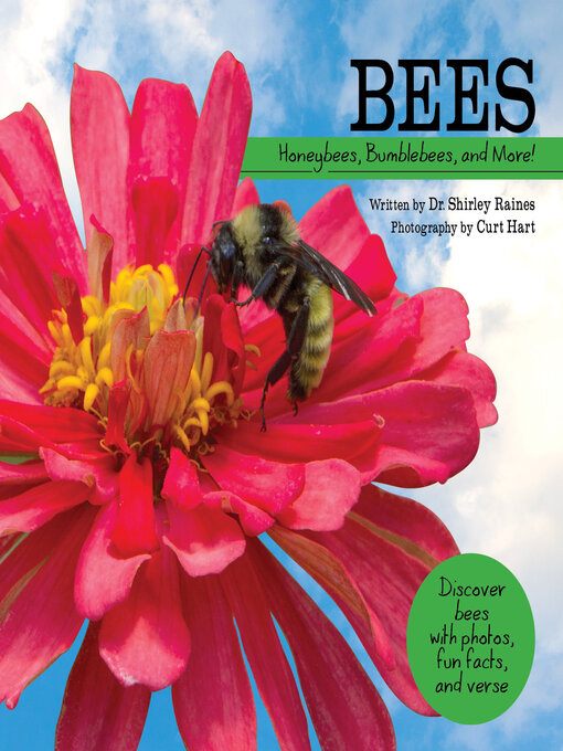 Title details for Bees by Shirley Raines - Available